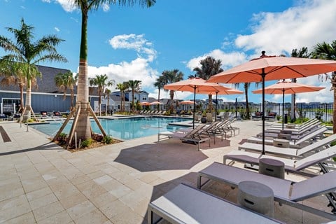 a swimming pool with chaise lounge chairs and umbrellas  at The Sophia, Venice, FL, 34275