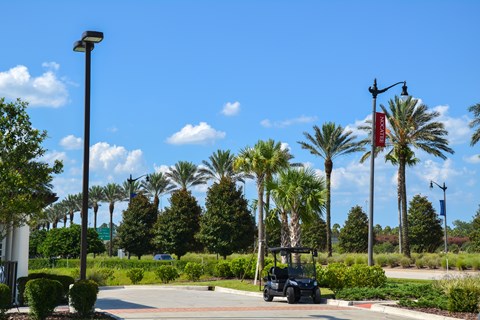 A golf cart is parked on a street with palm trees and a red sign in the background at Velara Luxury Apartments, Florida, 32081