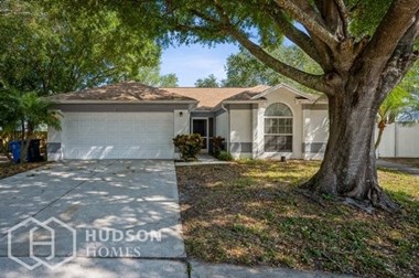 Hudson Homes Management Single Family Home For Rent Pet Friendly 11224 Bramblebrush St Tampa FL 33624 3 bedrooms 2 bathrooms carpet high ceilings stainless steel appliances ceiling fans dishwasher refrigerator microwave granite countertops attached garage