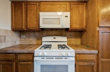 Hudson Homes Management Single Family Homes- 4835 N Harlem Ave Apt 1, Chicago, IL 60656 - Photo Gallery 12