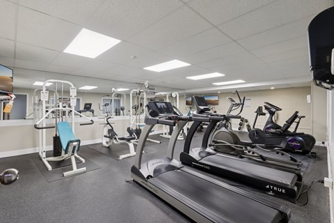 A gym with a treadmill, exercise bike, and other equipment.
