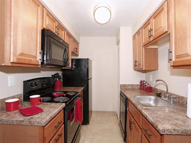 540 Deauville Drive 1-3 Beds Apartment for Rent - Photo Gallery 1