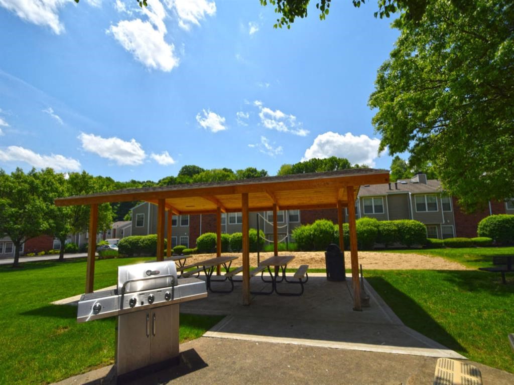 Picnic/Grill  at Chestnut Ridge Apartments, Pittsburgh, PA, 15205