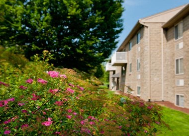 100 Park Plaza Drive 1-2 Beds Apartment for Rent - Photo Gallery 3