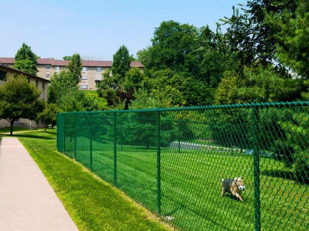 100 Park Plaza Drive 1-2 Beds Apartment for Rent