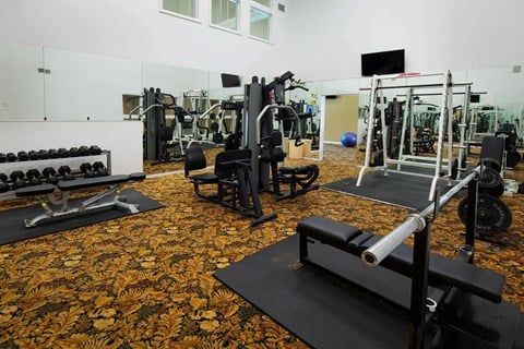 Weight Room at Belmont Ridge Apartments, Monroeville, PA