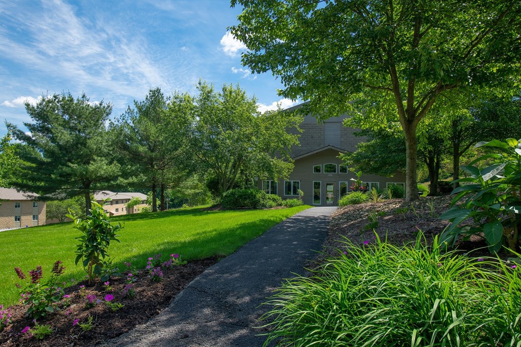 A house with a driveway and trees in front of it.