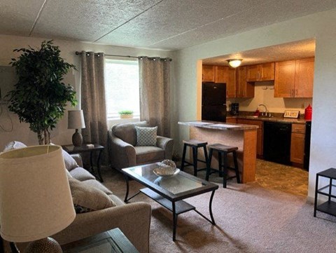 A living room with a couch, chair, and coffee table.