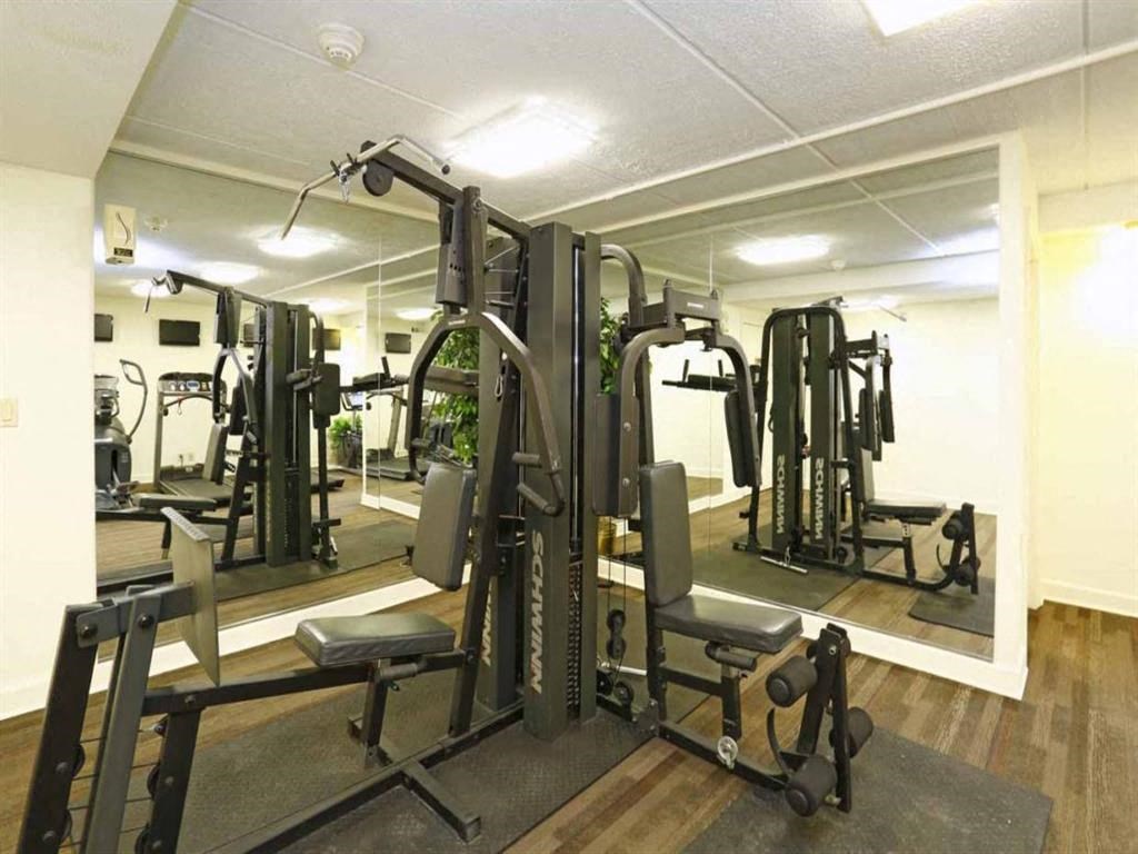 A gym with a variety of equipment including a squat rack.