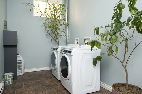 Laundry Facility at  16 Edmonton Apartment Suites for rent in Winnipeg