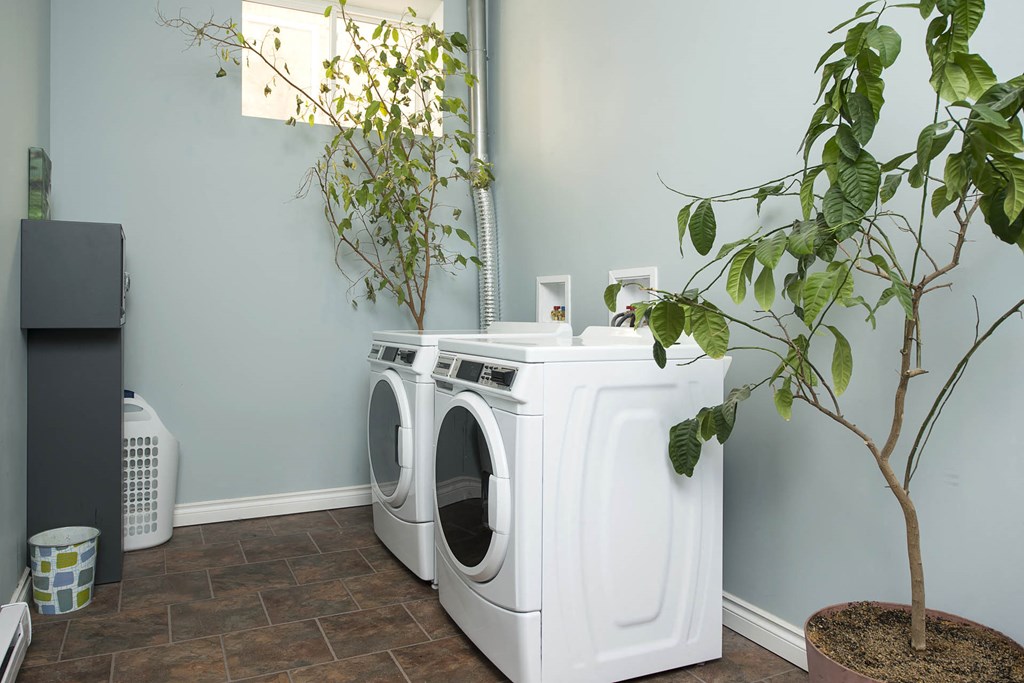 Amenities - Laundry Facility Laundry Facility at 16 Edmonton Apartment Suites for rent in Winnipeg