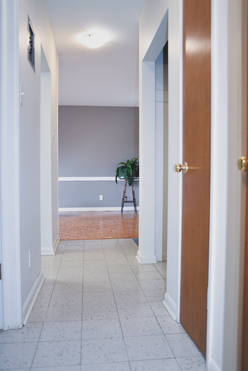 A hallway with a plant on a stand.