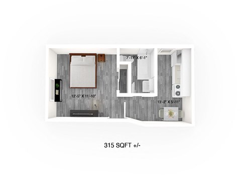 Studio Suite Floor Plans at 389 Balmoral Street