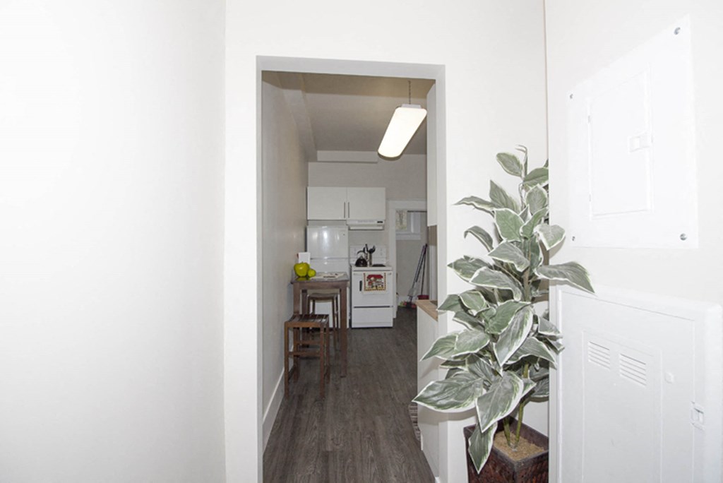 745 Wolseley Apartment