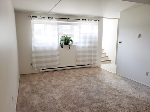 88 Southpark Drive