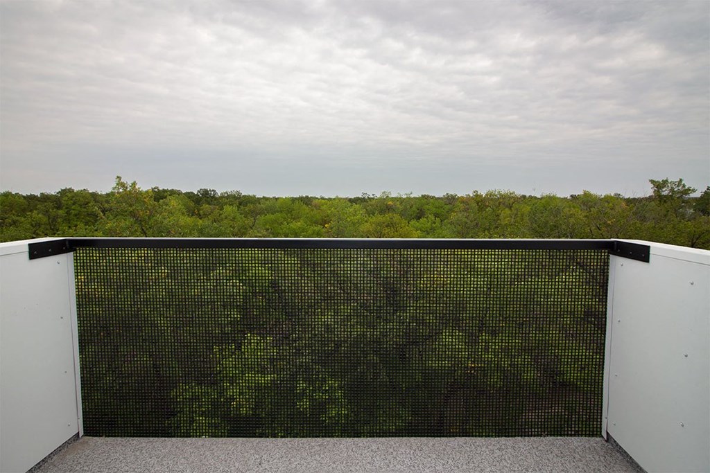 Luxury 2 Bedroom Suite at 703 St Annes Road