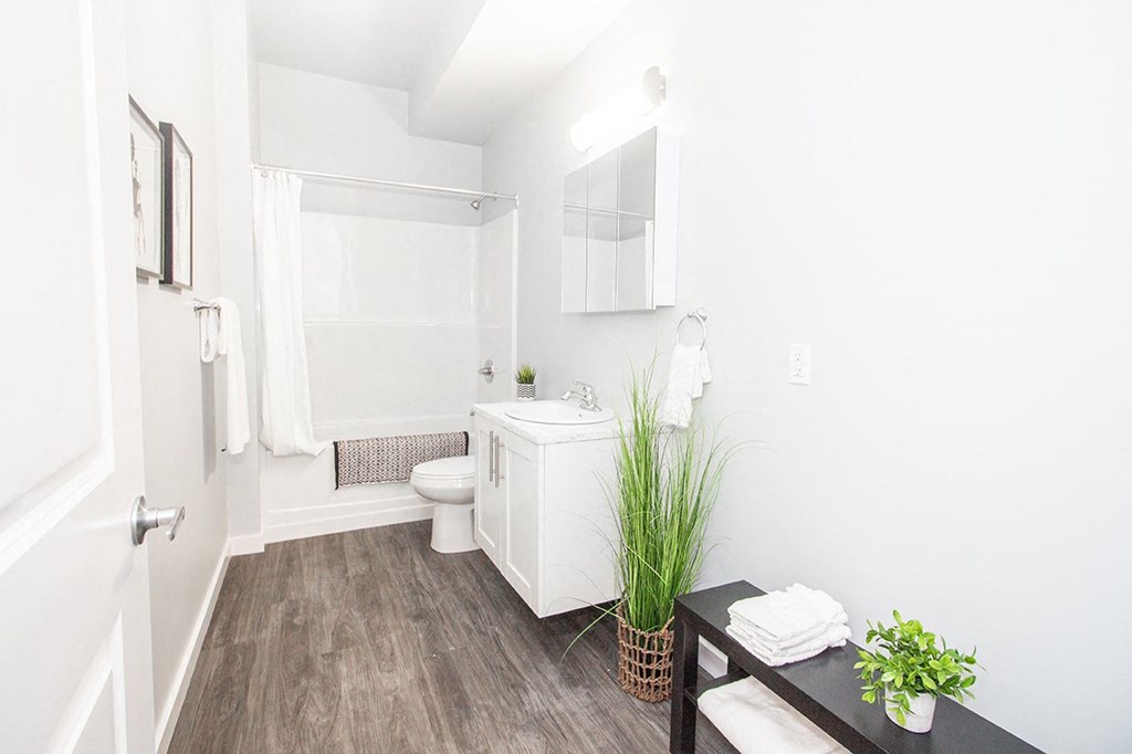 Winnipeg Rentals: a bathroom with white walls and a wooden floor