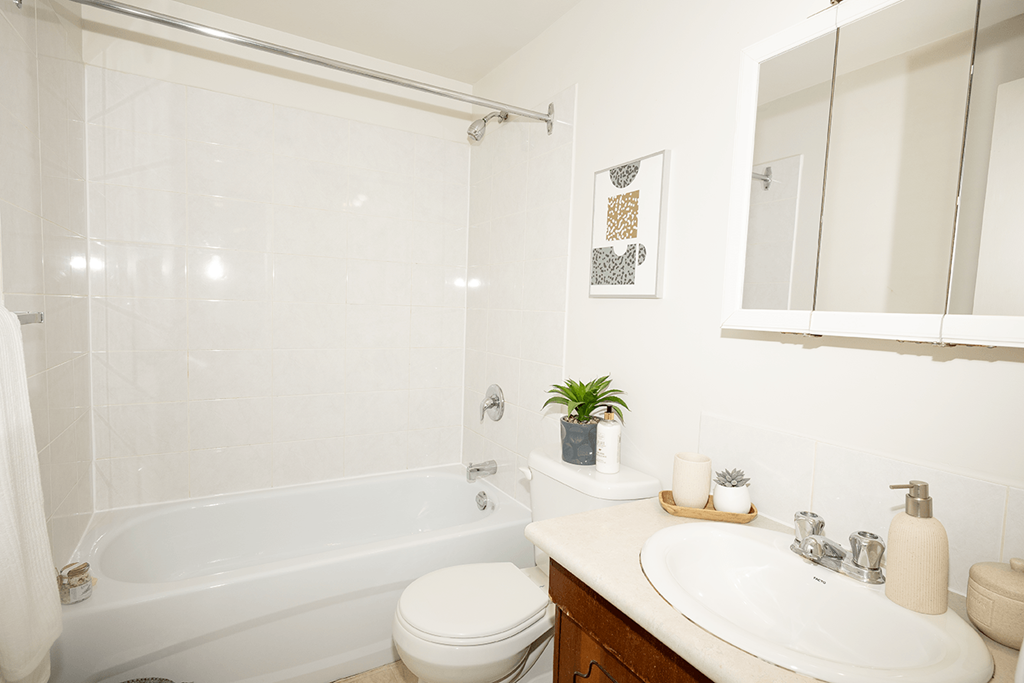 A white bathroom with a toilet, sink, and a plant.