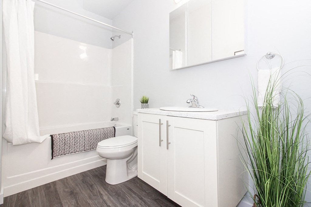 a bathroom with a toilet sink and shower for rent in Winnipeg