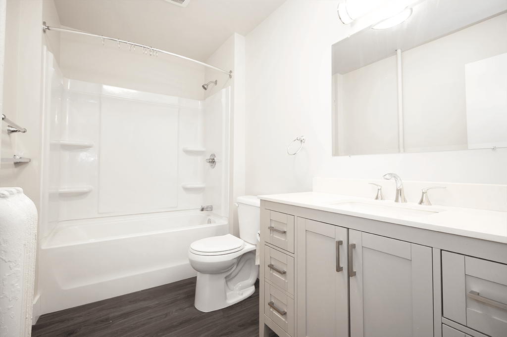 Renovated Bathroom at 812 Wolseley Luxury Apartment for rent in Winnipeg