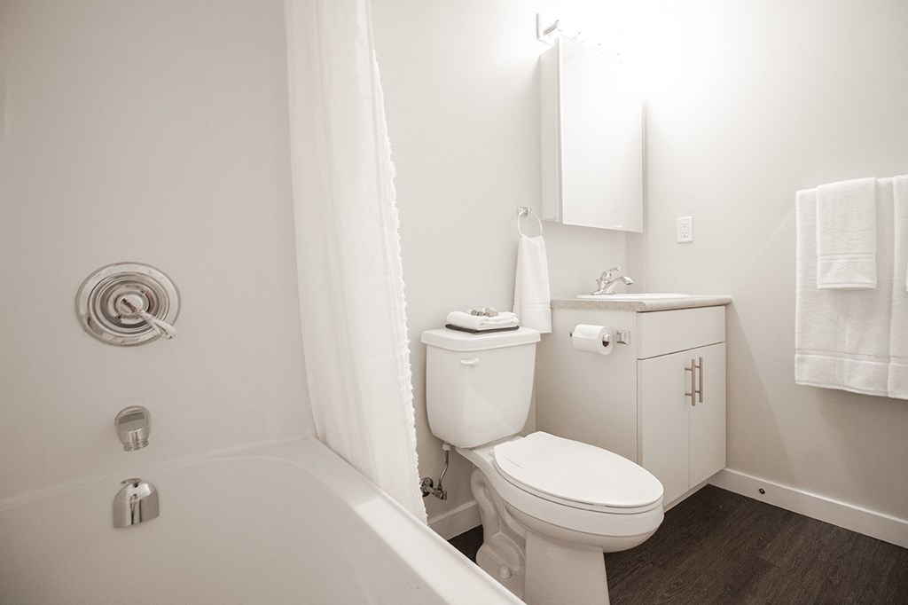 a small bathroom with a toilet and a bath tub