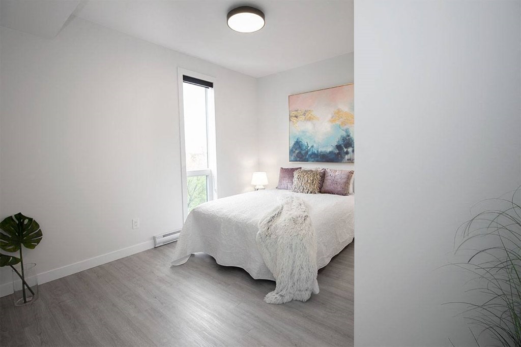 Luxury 2 Bedroom Suite at 703 St Annes Road