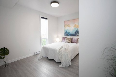 Luxury 2 Bedroom Suite at 703 St Annes Road