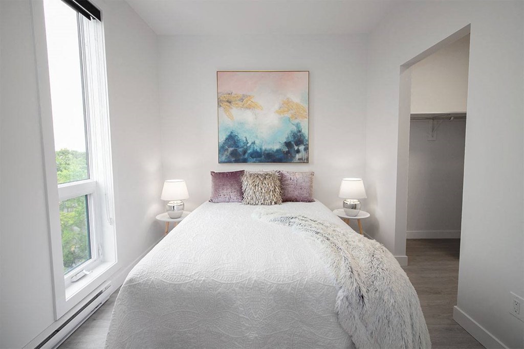 Luxury 2 Bedroom Suite at 703 St Annes Road