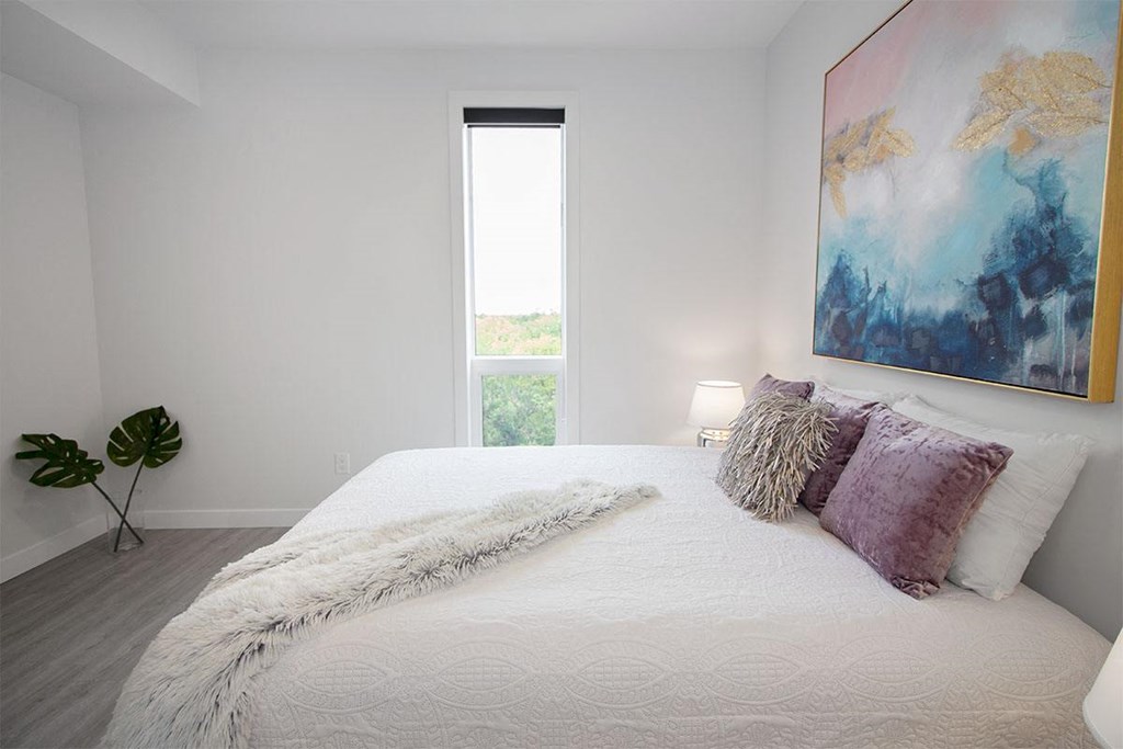 Luxury 2 Bedroom Suite at 703 St Annes Road