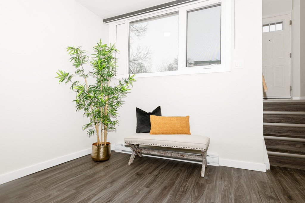 A room with a bench, a plant and a window.