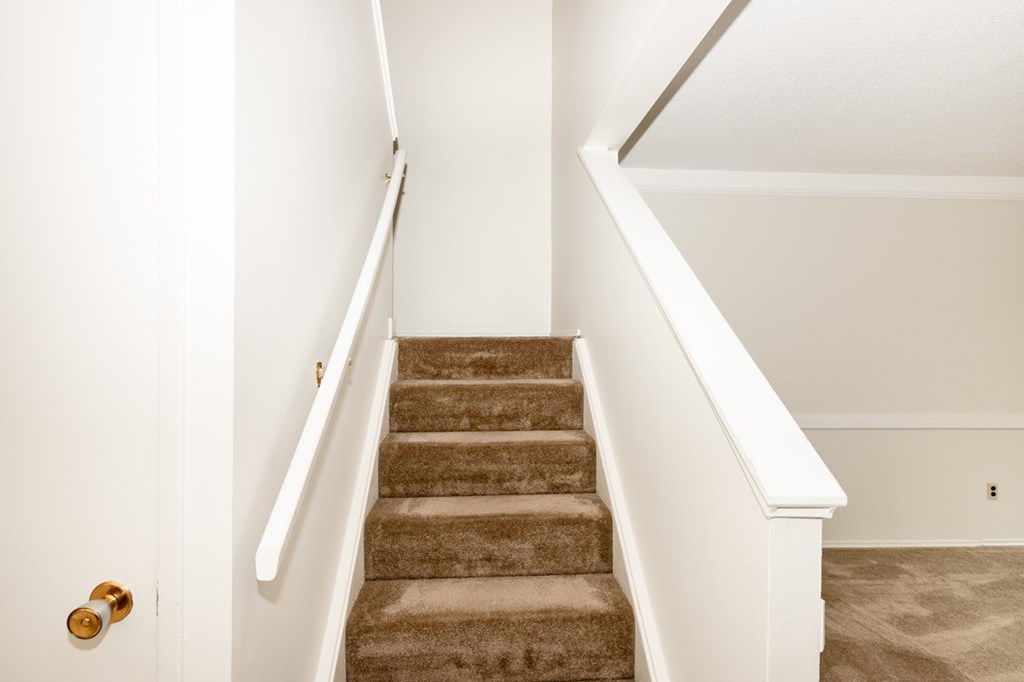 A staircase with a carpeted runner and white handrails.