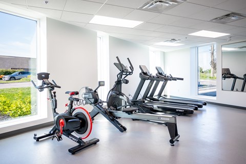 A gym with a row of stationary bikes.