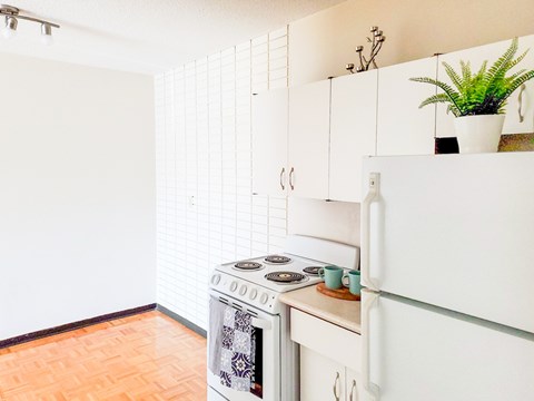 A white kitchen with a stove and a plant on the counter.