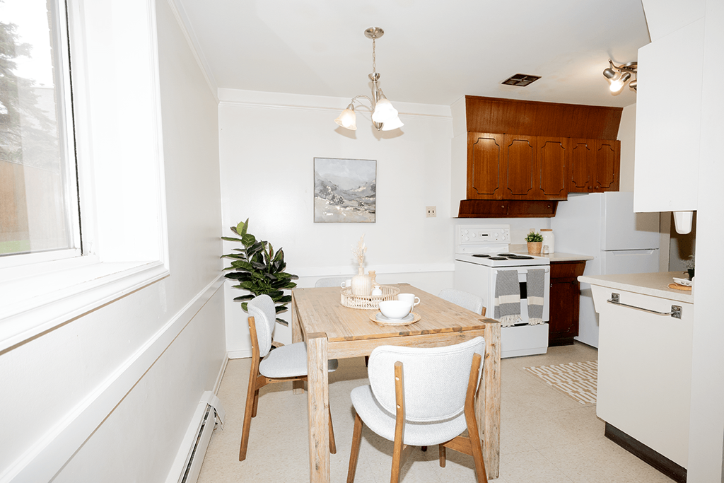 A dining table with chairs and a potted plant in a kitchen.