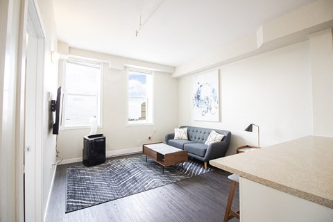 a living room with a couch and a rug