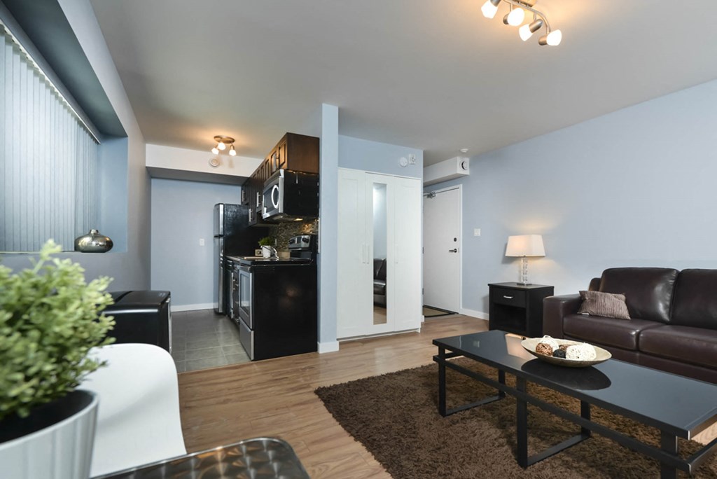 Kitchen and Living Area With Modern Finishings Studio Apartment at 340 Assiniboine Apartment