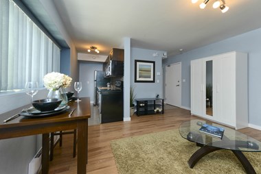 Studio Apartment at 340 Assiniboine Apartment