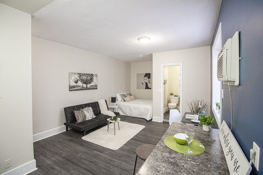 Studio Suite at 389 Balmoral Street