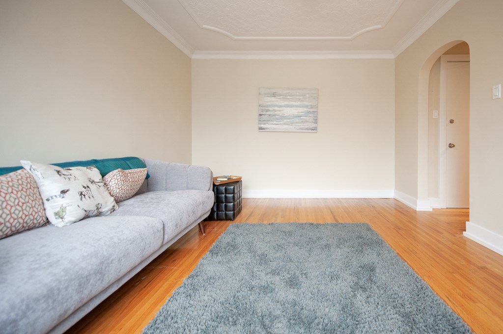 a living room with a couch and a rug