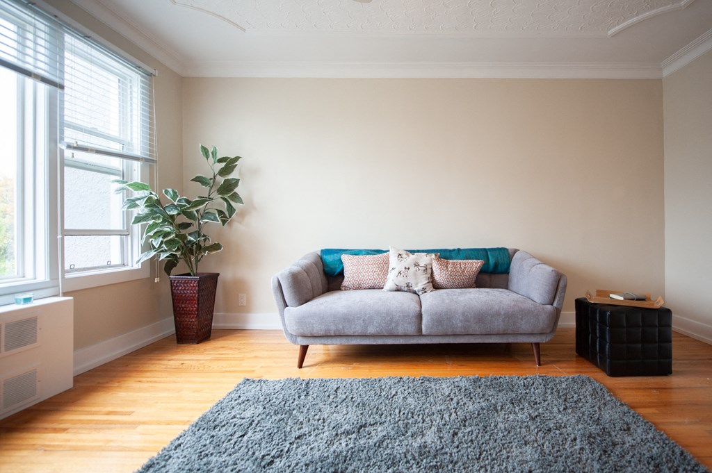 a living room with a couch and a rug