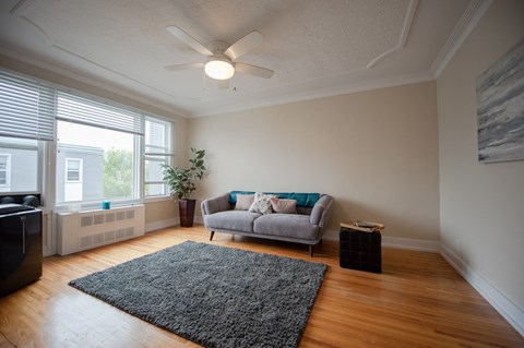 A living room with a grey couch and a black rug.