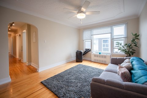 A living room with a grey couch and a black rug.