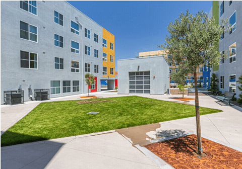 A tree in a brown planter sits in the middle of a grassy area between two buildings.