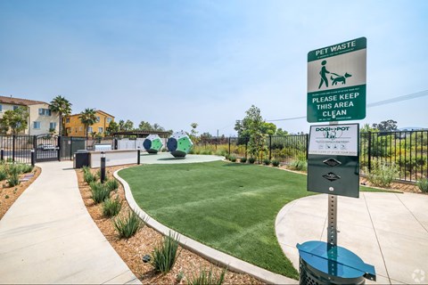Dog Park