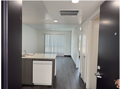 vista lane one kitchen pic