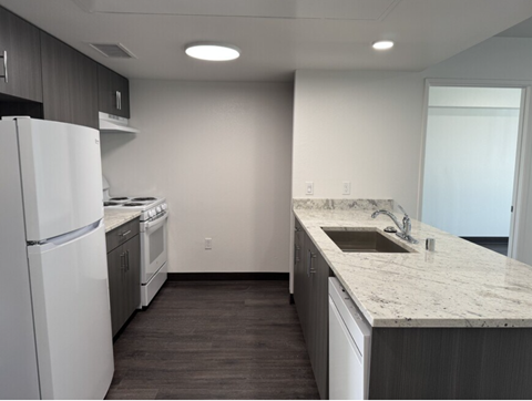 vista lane 1 kitchen