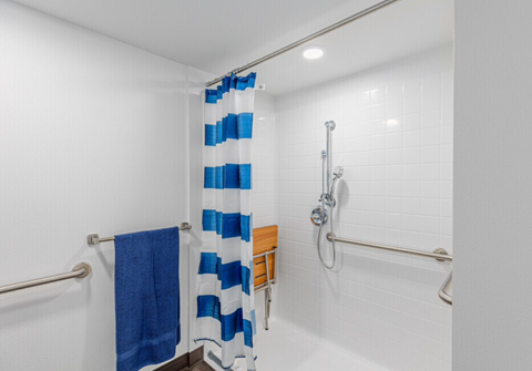 vista lane 1 bathroom