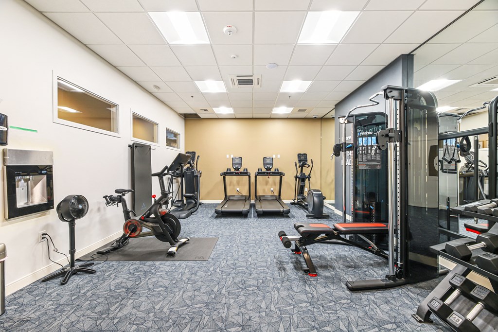 a spacious fitness room with weights on the floor and a wall of punching gyms