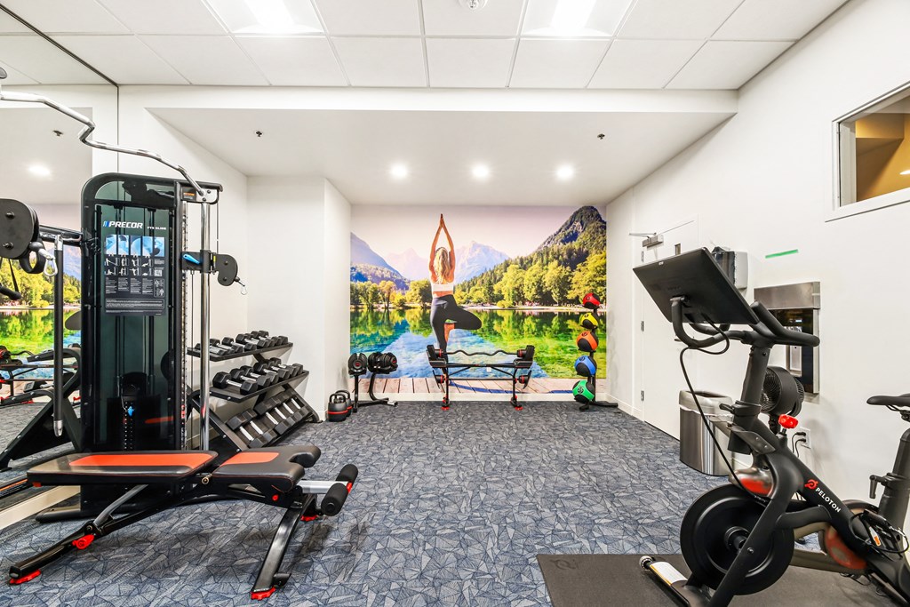 a gym with weights and cardio equipment and a mural of a lake and mountains
