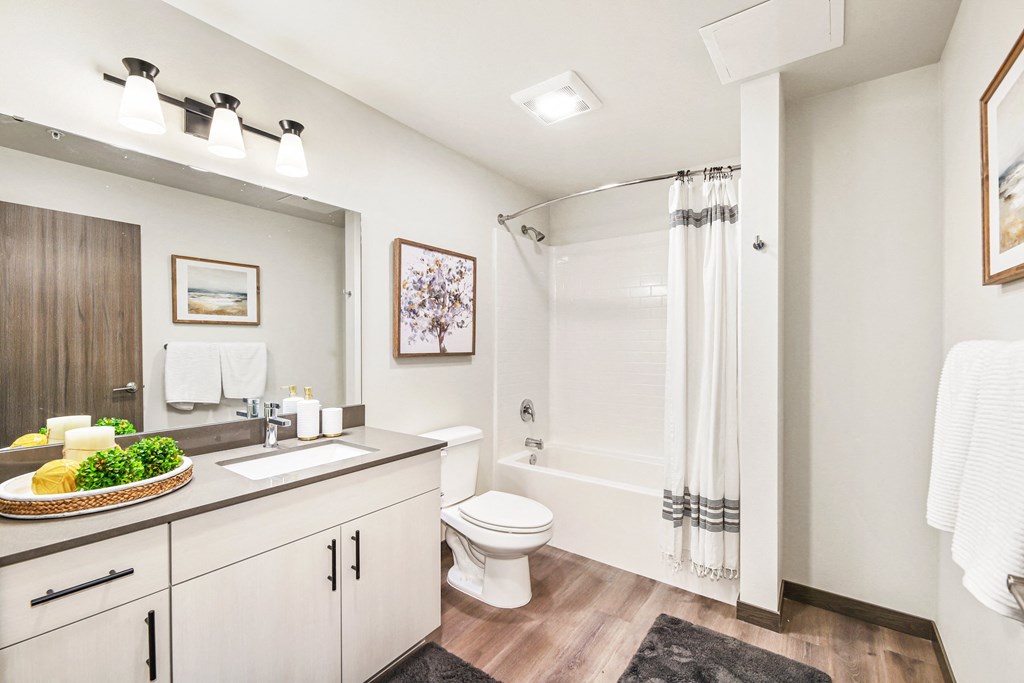 a bathroom with a shower toilet and sink and a mirror
